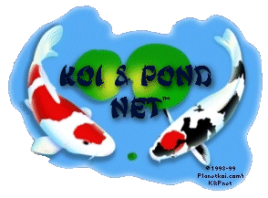 Koi and Pond Net